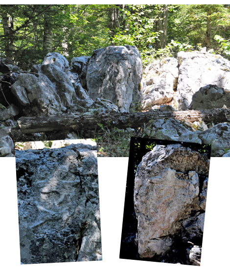 sommet-de-la-sacha,loscence,gite-vercors,drome